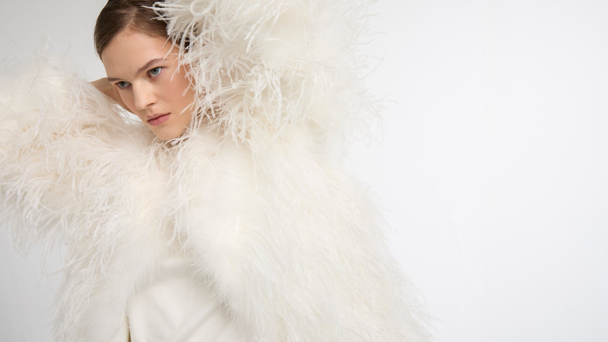 Ostrich feathers