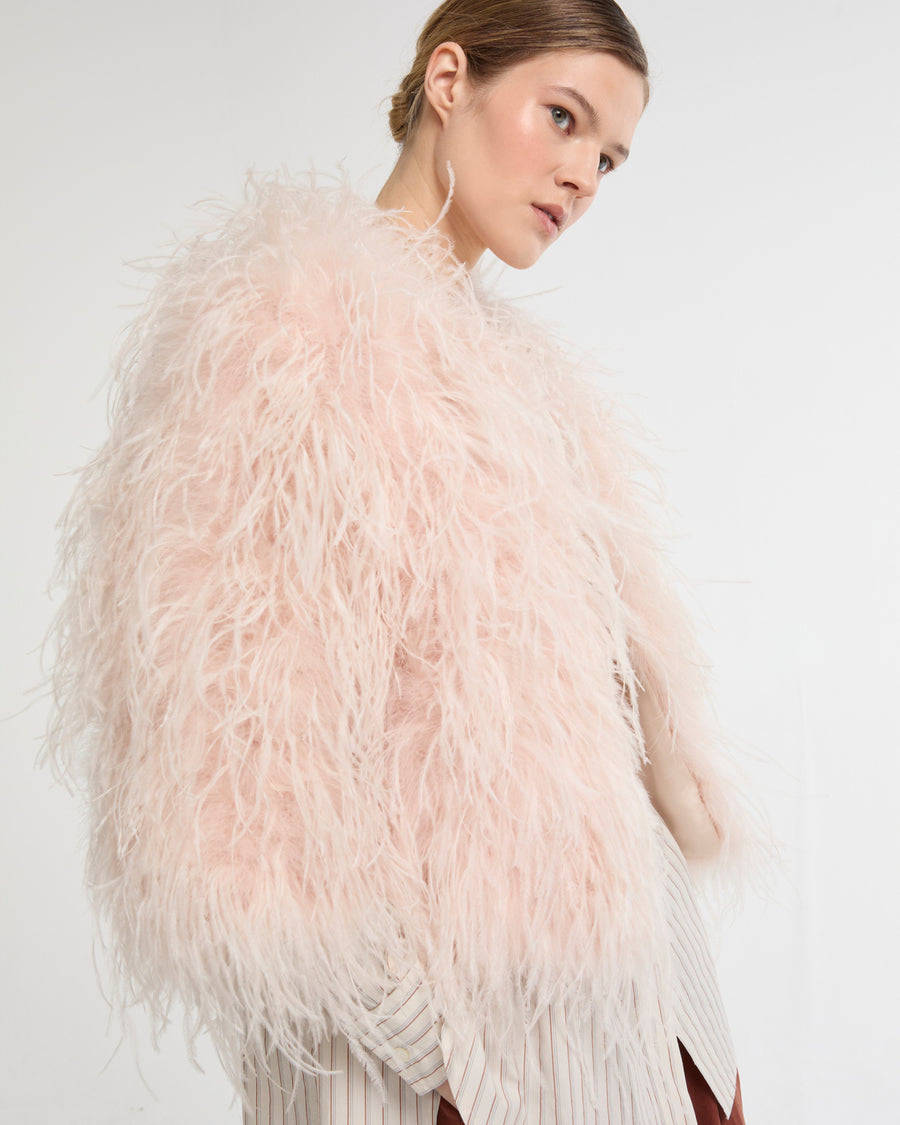Feathers